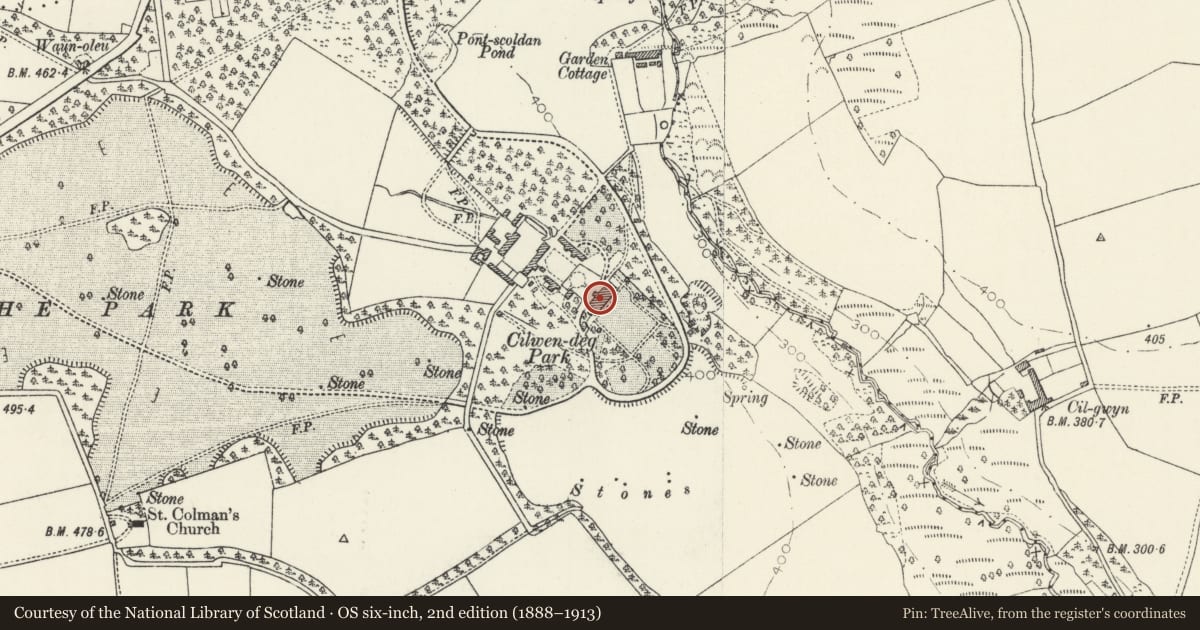 Ordnance Survey six-inch map, 2nd edition (1888–1913) covering the location of Cilwendeg, Boncath, Pembrokeshire, with a pin at the register's coordinates