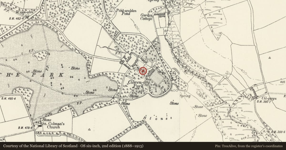 Ordnance Survey six-inch map, 2nd edition (1888–1913) covering the location of Cilwendeg Villa, Boncath, Pembrokeshire, with a pin at the register's coordinates