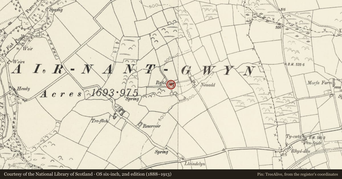 Ordnance Survey six-inch map, 2nd edition (1888–1913) covering the location of Rafel, Crymych, Pembrokeshire, with a pin at the register's coordinates