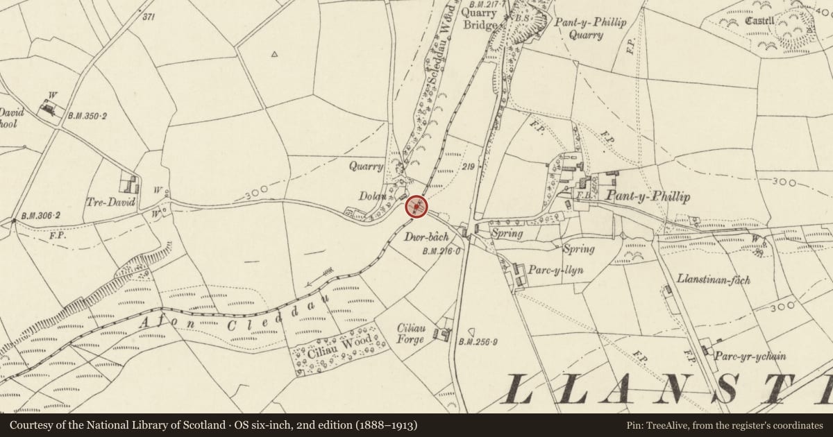 Ordnance Survey six-inch map, 2nd edition (1888–1913) covering the location of Llanstinian Bridge (partly in Trecwn), Scleddau, Pembrokeshire, with a pin at the register's coordinates