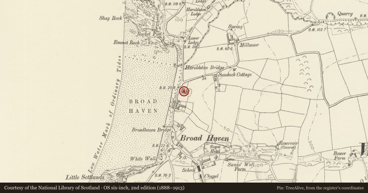 Ordnance Survey six-inch map, 2nd edition (1888–1913) covering the location of Broad Haven House, The Havens, Pembrokeshire, with a pin at the register's coordinates