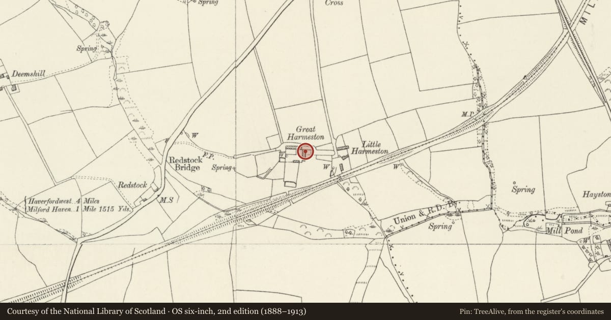 Ordnance Survey six-inch map, 2nd edition (1888–1913) covering the location of Great Harmeston, Tiers Cross, Pembrokeshire, with a pin at the register's coordinates