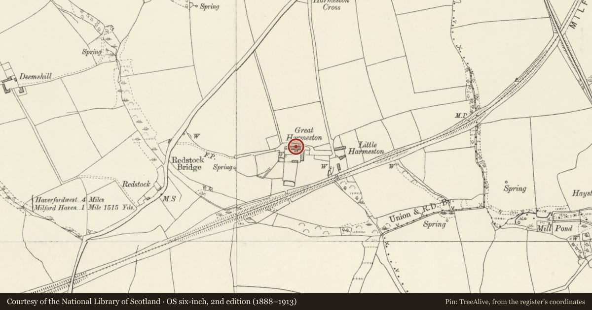 Ordnance Survey six-inch map, 2nd edition (1888–1913) covering the location of Long agricultural range to W of Great Harmeston House, including cartsheds and food processing store, Tiers Cross, Pembrokeshire, with a pin at the register's coordinates