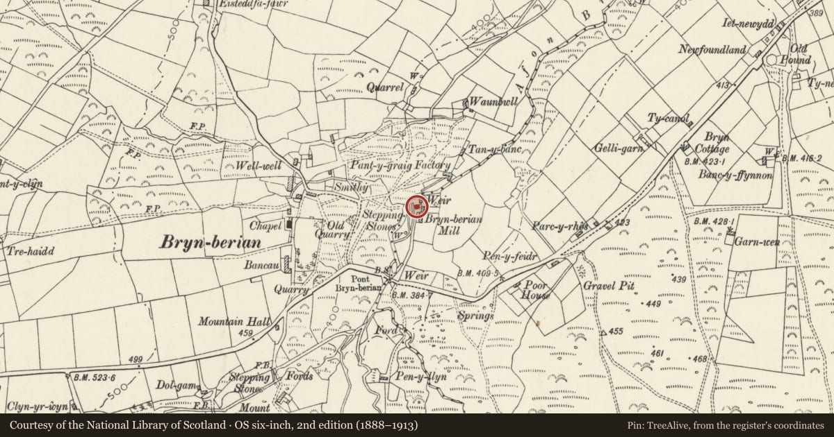 Ordnance Survey six-inch map, 2nd edition (1888–1913) covering the location of Mill building at Felin Bryn, Eglwyswrw, Pembrokeshire, with a pin at the register's coordinates
