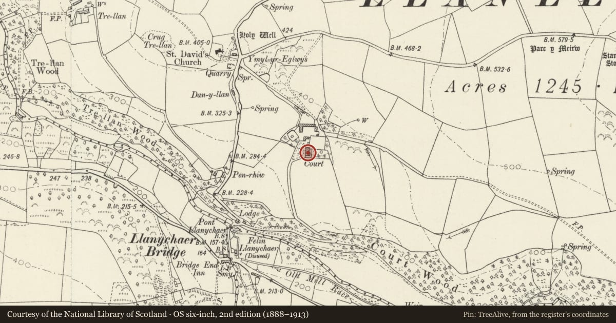 Ordnance Survey six-inch map, 2nd edition (1888–1913) covering the location of Court/Cwrt including screen wall and outside kitchen to service court, Cwm Gwaun, Pembrokeshire, with a pin at the register's coordinates