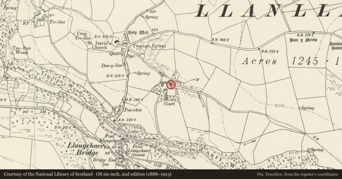 Ordnance Survey six-inch map, 2nd edition (1888–1913) covering the location of Farmyard building to E of main range at Court/Cwrt, Cwm Gwaun, Pembrokeshire, with a pin at the register's coordinates