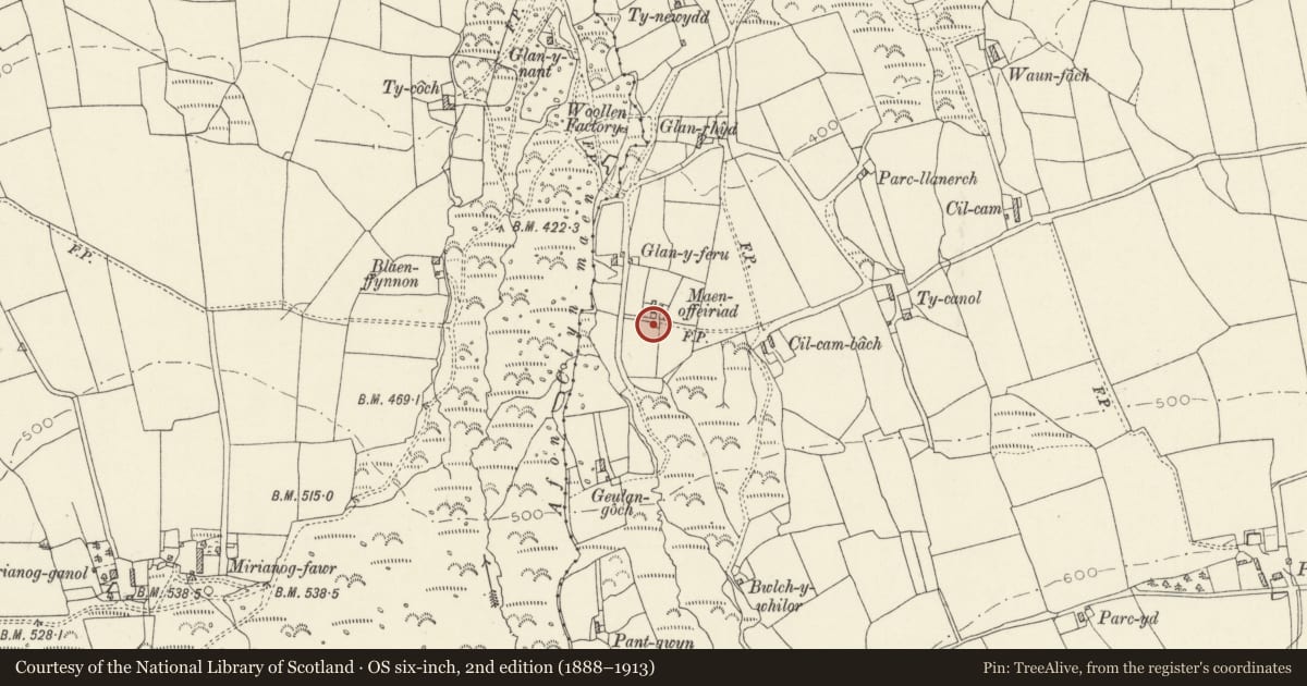 Ordnance Survey six-inch map, 2nd edition (1888–1913) covering the location of Corbelled pig-sty at Maen-offeriaid, Crymych, Pembrokeshire, with a pin at the register's coordinates