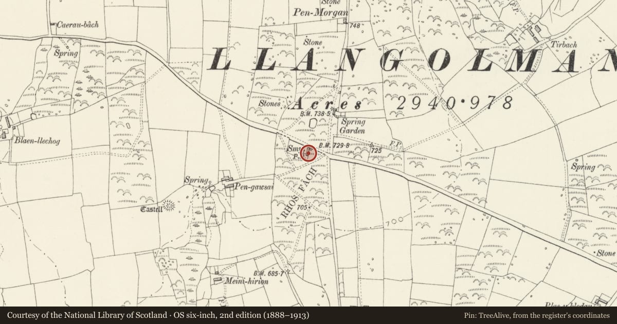 Ordnance Survey six-inch map, 2nd edition (1888–1913) covering the location of Rhosfach House, Mynachlog-Ddu, Pembrokeshire, with a pin at the register's coordinates