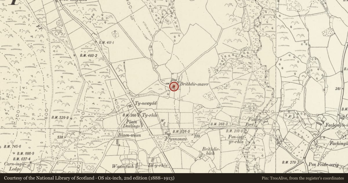 Ordnance Survey six-inch map, 2nd edition (1888–1913) covering the location of Brithdir Mawr, Newport, Pembrokeshire, with a pin at the register's coordinates