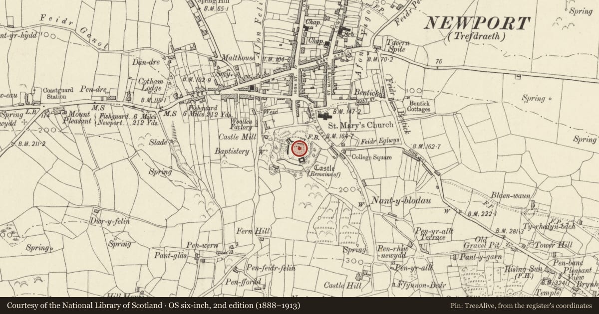 Ordnance Survey six-inch map, 2nd edition (1888–1913) covering the location of Newport Castle, Pembrokeshire, with a pin at the register's coordinates