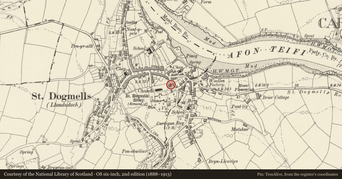 Ordnance Survey six-inch map, 2nd edition (1888–1913) covering the location of Church House, St. Dogmaels, Pembrokeshire, with a pin at the register's coordinates