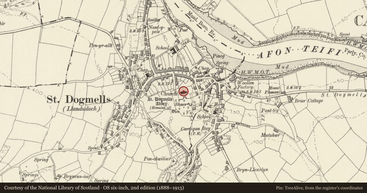 Ordnance Survey six-inch map, 2nd edition (1888–1913) covering the location of Church of Saint Thomas, St. Dogmaels, Pembrokeshire, with a pin at the register's coordinates