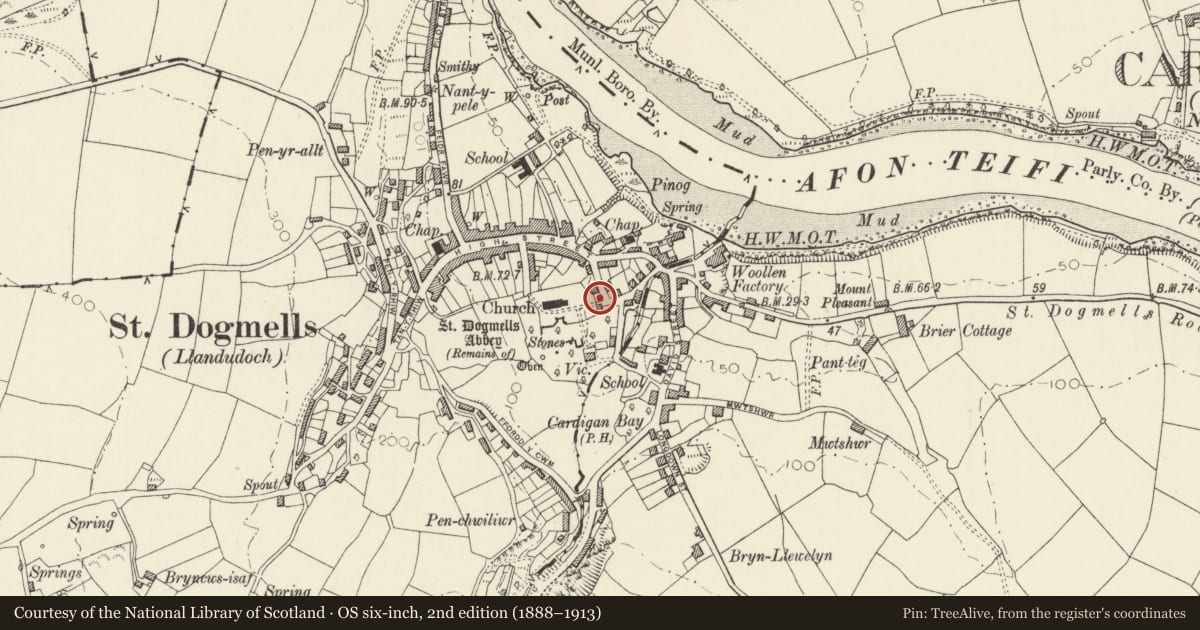 Ordnance Survey six-inch map, 2nd edition (1888–1913) covering the location of Lychgate and Steps to Churchyard at St Thomas Church, St. Dogmaels, Pembrokeshire, with a pin at the register's coordinates