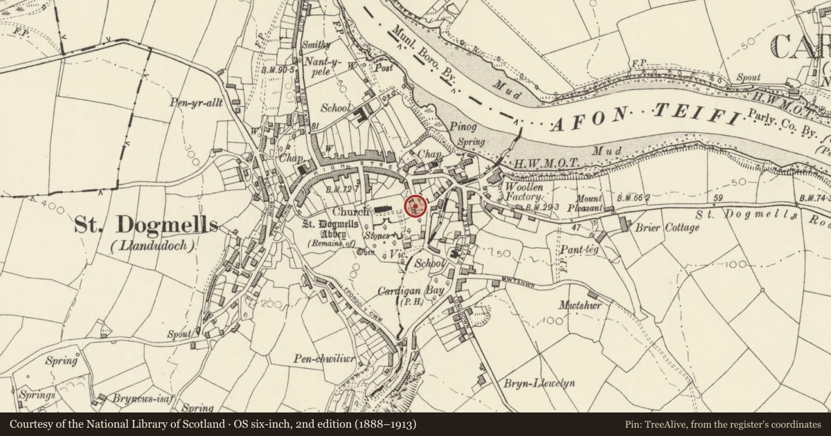Ordnance Survey six-inch map, 2nd edition (1888–1913) covering the location of Former Bier House beside steps to Lychgate, St. Dogmaels, Pembrokeshire, with a pin at the register's coordinates
