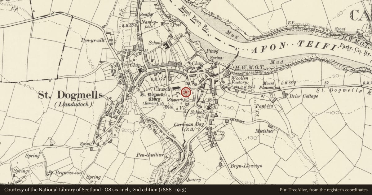 Ordnance Survey six-inch map, 2nd edition (1888–1913) covering the location of Wall along S side of Churchyard, St. Dogmaels, Pembrokeshire, with a pin at the register's coordinates