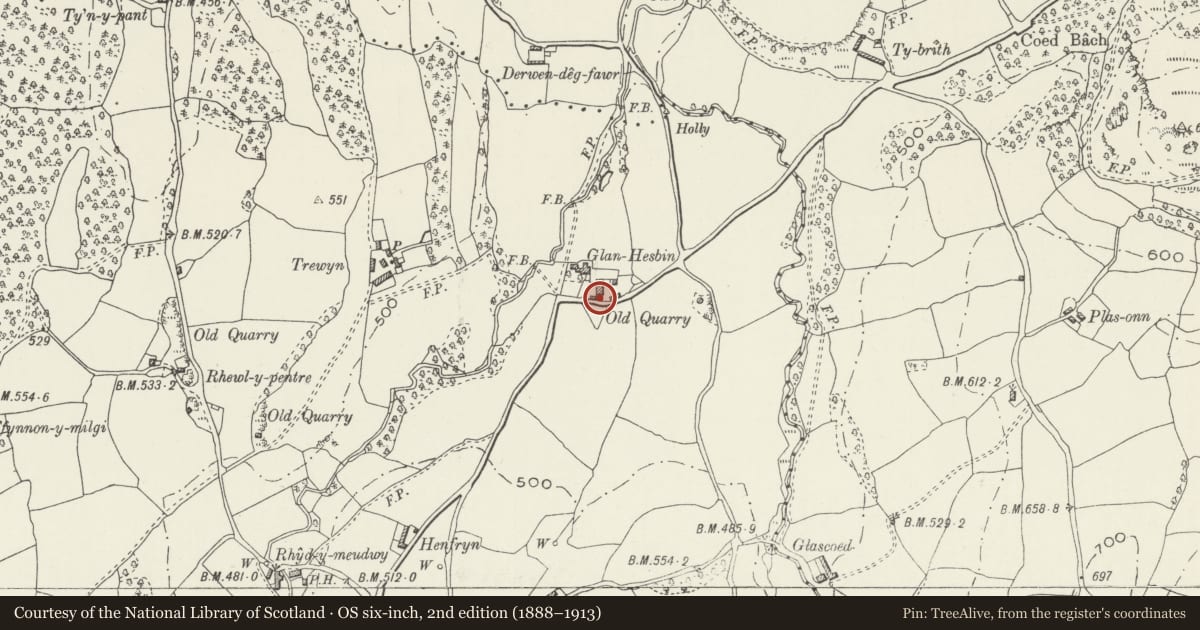 Ordnance Survey six-inch map, 2nd edition (1888–1913) covering the location of Cartshed at Glan-hespin, Llanfair Dyffryn Clwyd, Denbighshire, with a pin at the register's coordinates