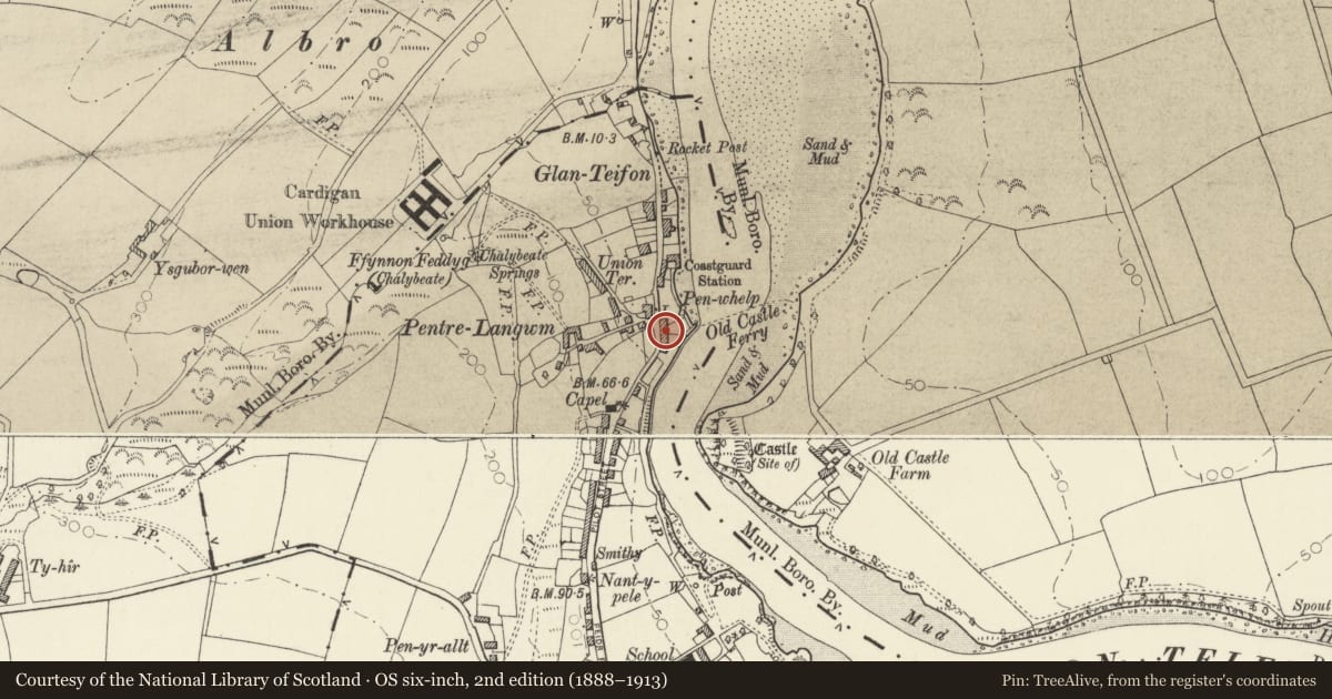 Ordnance Survey six-inch map, 2nd edition (1888–1913) covering the location of Princess Villa, St. Dogmaels, Pembrokeshire, with a pin at the register's coordinates