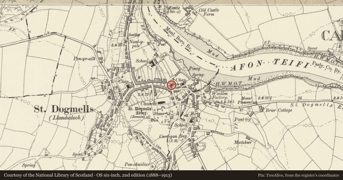 Ordnance Survey six-inch map, 2nd edition (1888–1913) covering the location of Mount Pleasant, St. Dogmaels, Pembrokeshire, with a pin at the register's coordinates