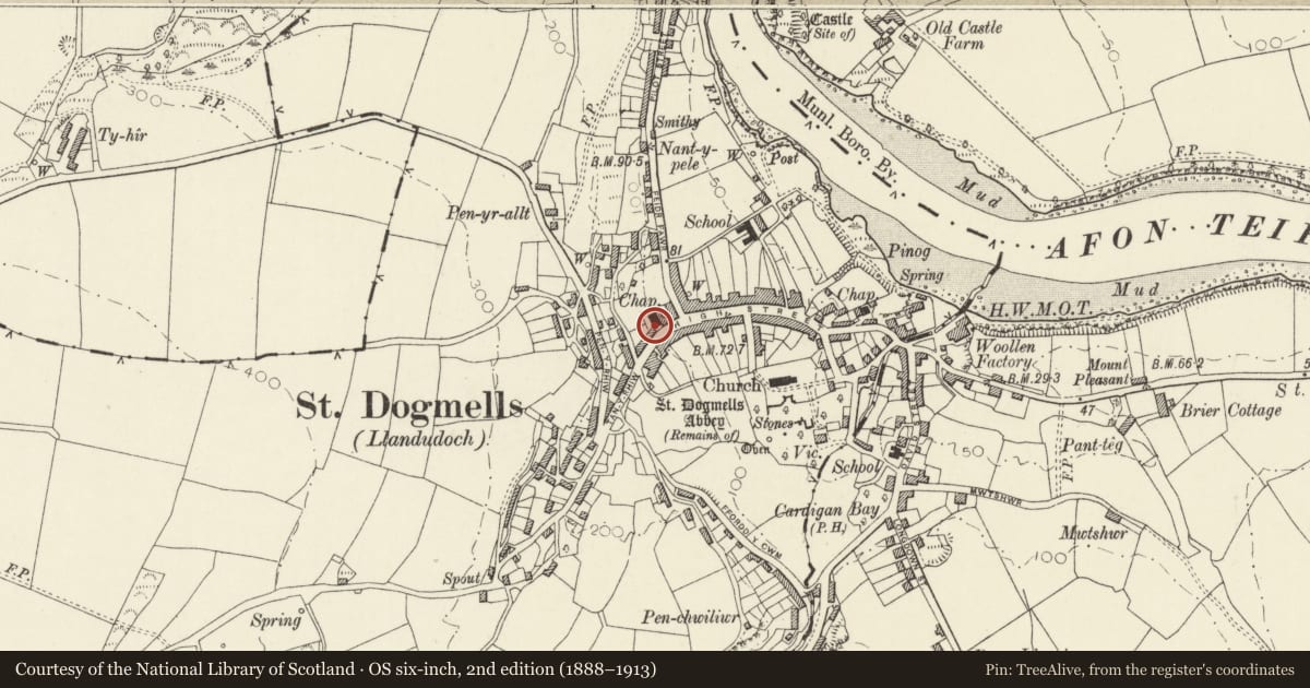 Ordnance Survey six-inch map, 2nd edition (1888–1913) covering the location of Brynivor, St. Dogmaels, Pembrokeshire, with a pin at the register's coordinates