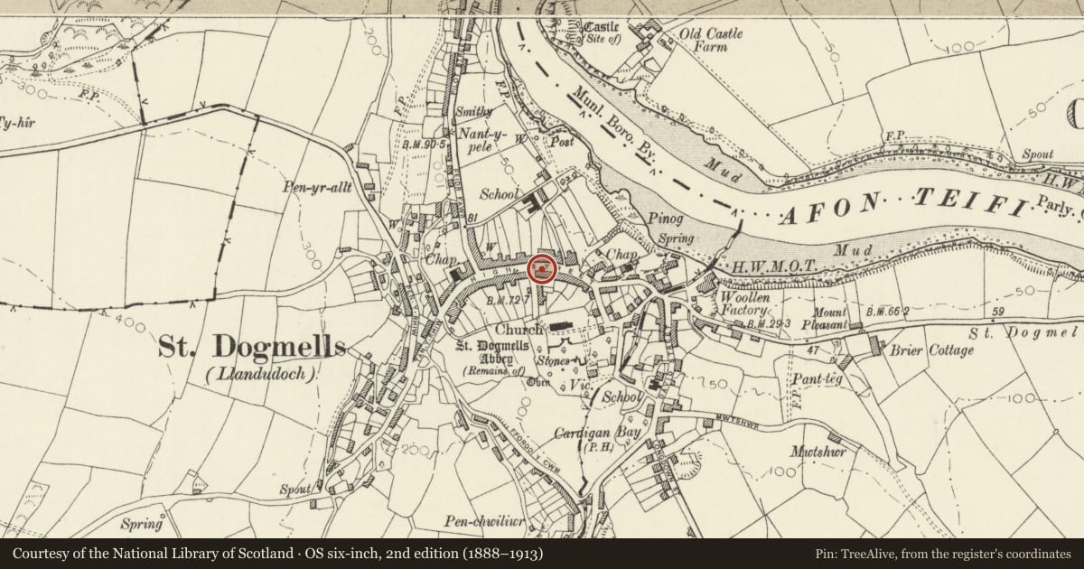 Ordnance Survey six-inch map, 2nd edition (1888–1913) covering the location of Tyrhedyn, St. Dogmaels, Pembrokeshire, with a pin at the register's coordinates