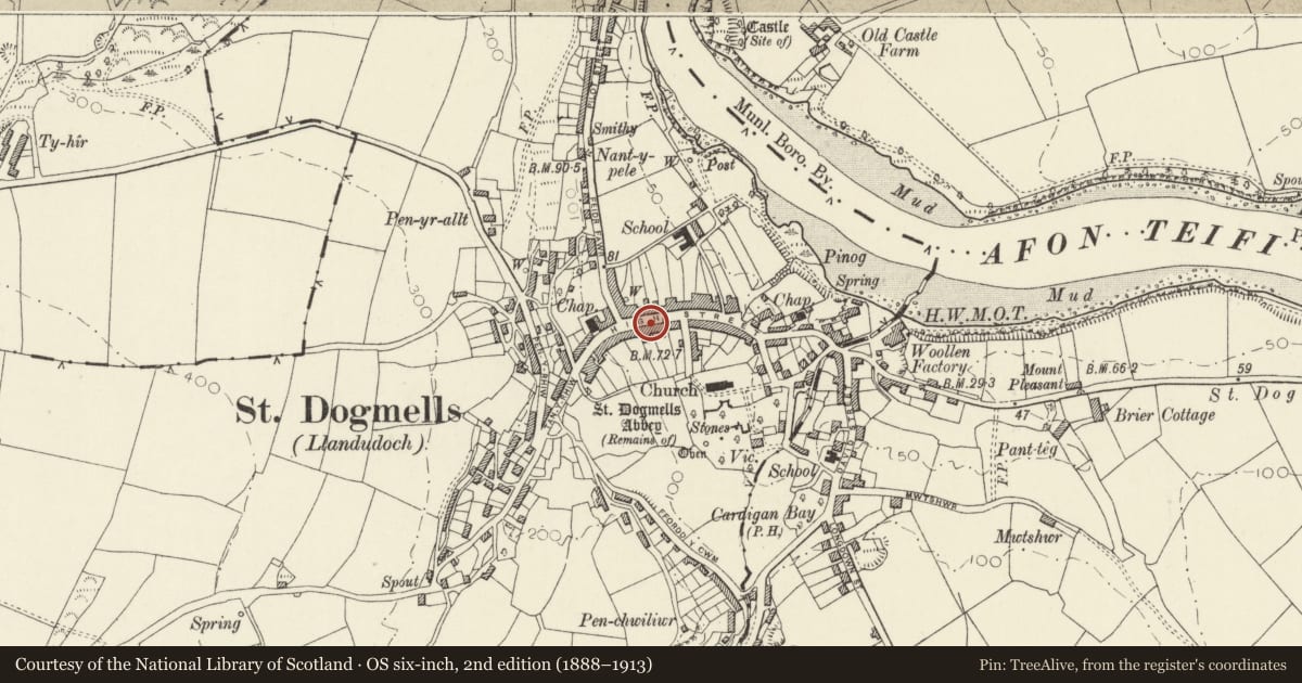 Ordnance Survey six-inch map, 2nd edition (1888–1913) covering the location of Cannon House, St. Dogmaels, Pembrokeshire, with a pin at the register's coordinates