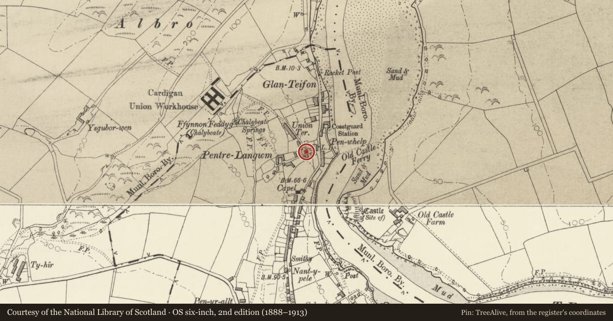 Ordnance Survey six-inch map, 2nd edition (1888–1913) covering the location of Sincerity, St. Dogmaels, Pembrokeshire, with a pin at the register's coordinates