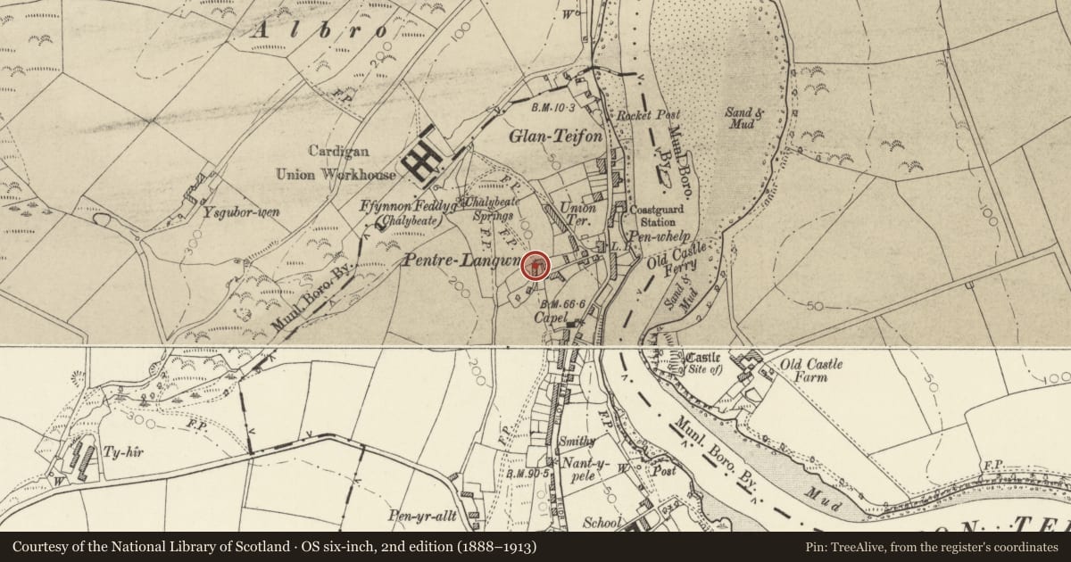 Ordnance Survey six-inch map, 2nd edition (1888–1913) covering the location of Maesyrafon and attached Cottage to S. Pentre, St. Dogmaels, Pembrokeshire, with a pin at the register's coordinates