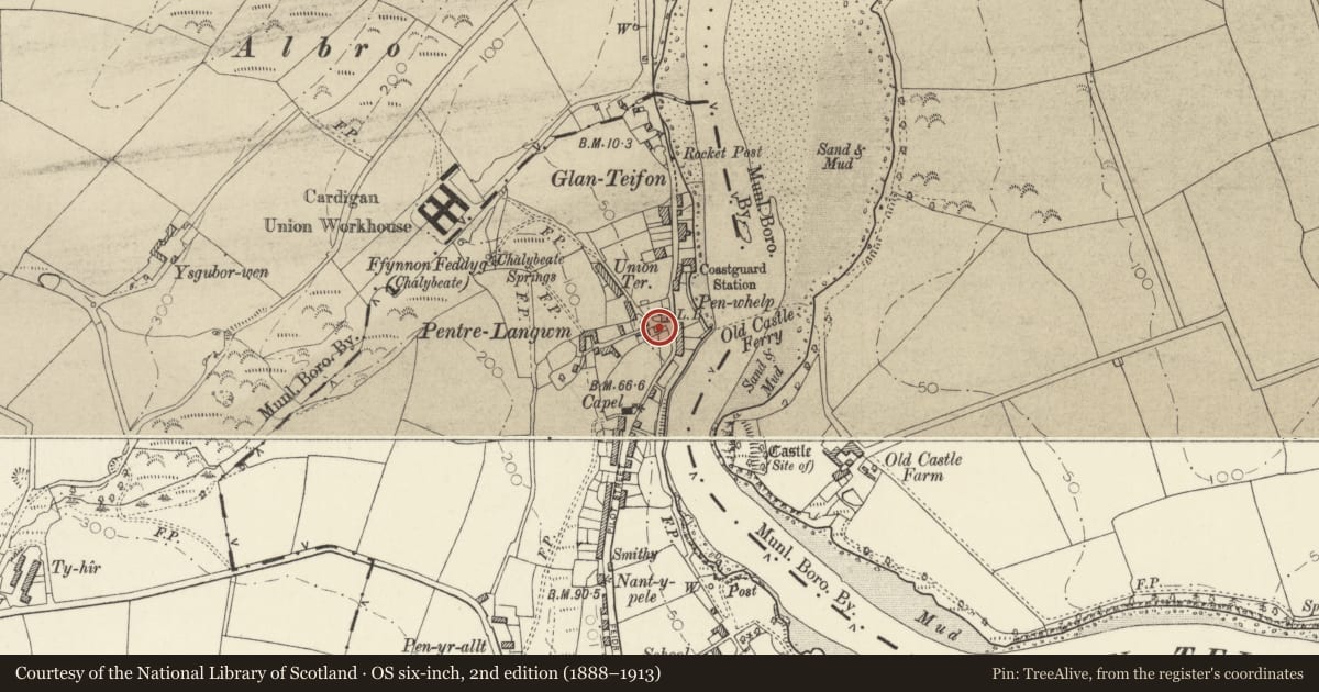 Ordnance Survey six-inch map, 2nd edition (1888–1913) covering the location of Llys Teify, St. Dogmaels, Pembrokeshire, with a pin at the register's coordinates