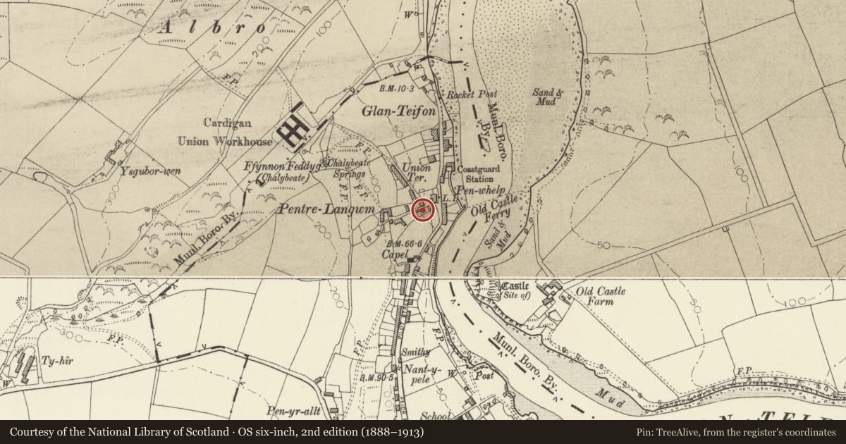 Ordnance Survey six-inch map, 2nd edition (1888–1913) covering the location of Heathfield, St. Dogmaels, Pembrokeshire, with a pin at the register's coordinates