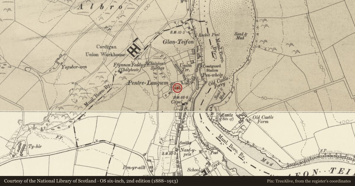 Ordnance Survey six-inch map, 2nd edition (1888–1913) covering the location of Clydfan, St. Dogmaels, Pembrokeshire, with a pin at the register's coordinates