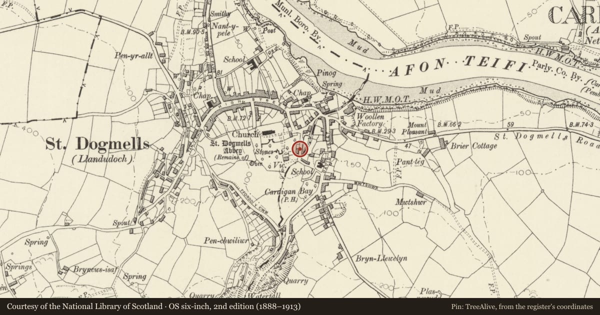 Ordnance Survey six-inch map, 2nd edition (1888–1913) covering the location of The Vicarage Stables, St. Dogmaels, Pembrokeshire, with a pin at the register's coordinates