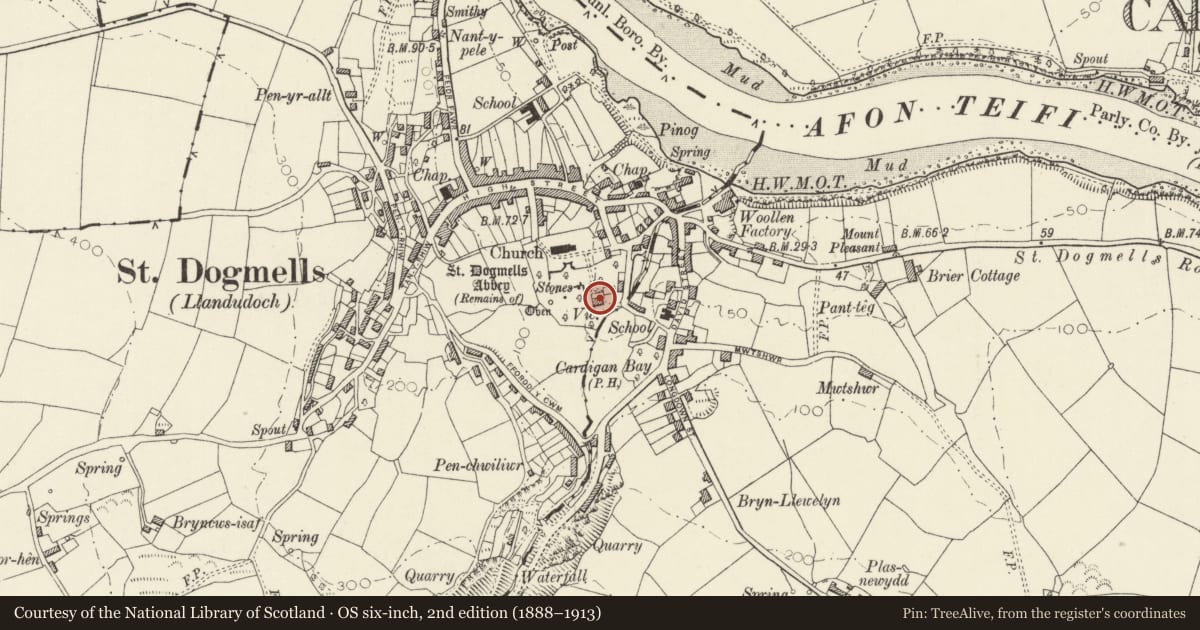 Ordnance Survey six-inch map, 2nd edition (1888–1913) covering the location of The Vicarage, St. Dogmaels, Pembrokeshire, with a pin at the register's coordinates