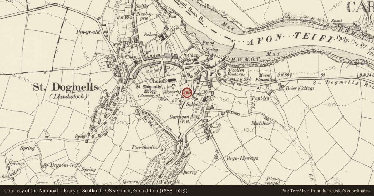 Ordnance Survey six-inch map, 2nd edition (1888–1913) covering the location of Wall attached to rear of Vicarage stables and running to N of Vicarage, St. Dogmaels, Pembrokeshire, with a pin at the register's coordinates