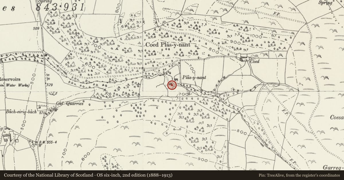Ordnance Survey six-inch map, 2nd edition (1888–1913) covering the location of Plas-y-Nant, Llanbedr Dyffryn Clwyd, Denbighshire, with a pin at the register's coordinates