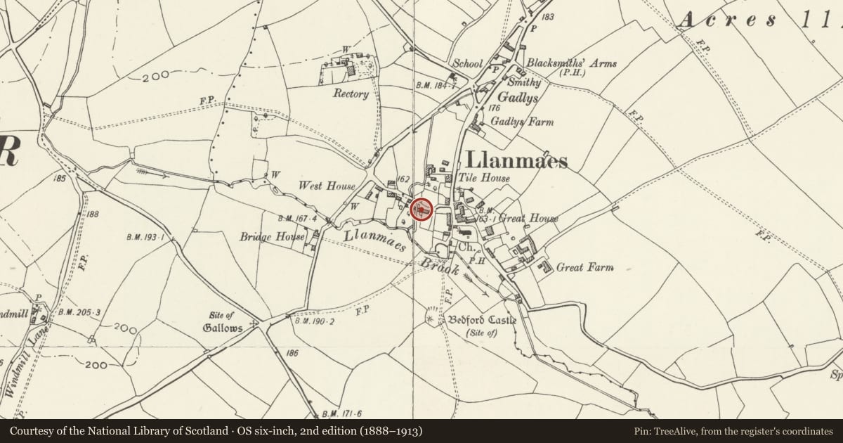 Ordnance Survey six-inch map, 2nd edition (1888–1913) covering the location of Plaisted House, Llan-Maes, Vale of Glamorgan, with a pin at the register's coordinates