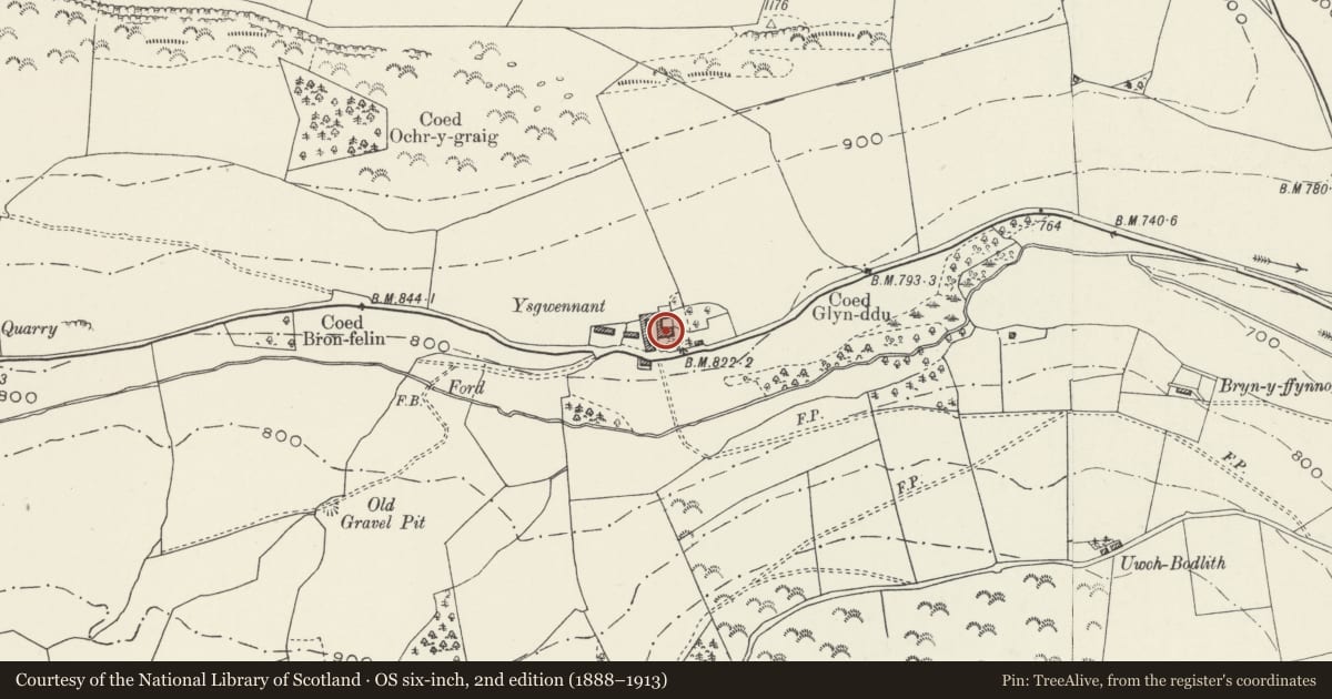 Ordnance Survey six-inch map, 2nd edition (1888–1913) covering the location of Ysgwennant, Llansilin, Powys, with a pin at the register's coordinates
