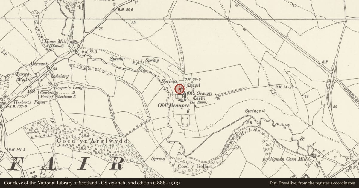 Ordnance Survey six-inch map, 2nd edition (1888–1913) covering the location of Old Beaupre Castle, Llanfair, Vale of Glamorgan, with a pin at the register's coordinates