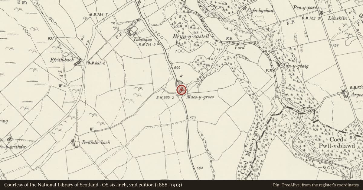 Ordnance Survey six-inch map, 2nd edition (1888–1913) covering the location of Barn at Maes-y-Groes Bella, Cilcain, Flintshire, with a pin at the register's coordinates