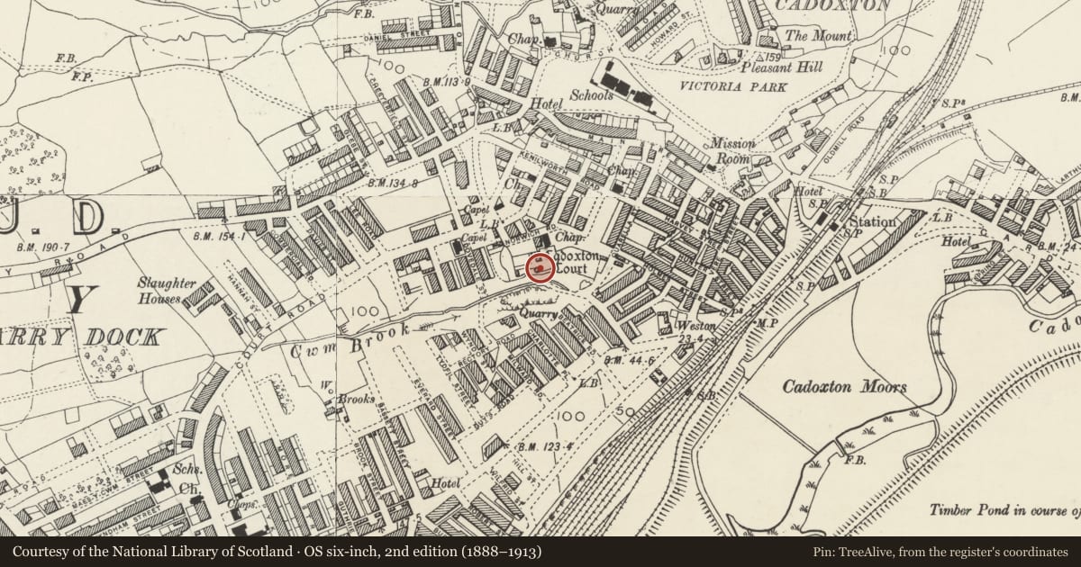 Ordnance Survey six-inch map, 2nd edition (1888–1913) covering the location of Dovecote at Cadoxton Court, Barry, Vale of Glamorgan, with a pin at the register's coordinates