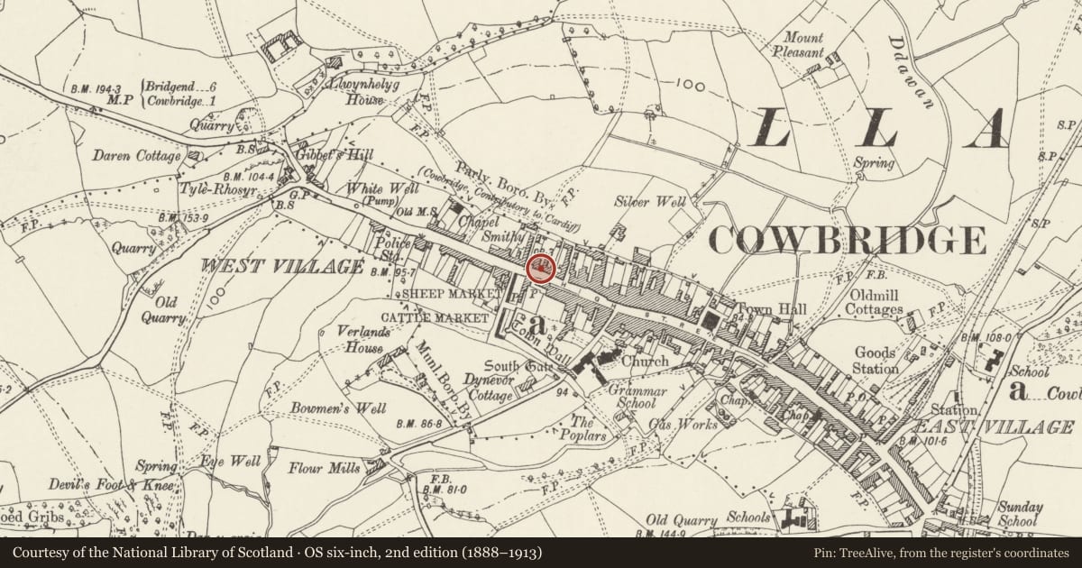 Ordnance Survey six-inch map, 2nd edition (1888–1913) covering the location of Woodstock House, Cowbridge with Llanblethian, Vale of Glamorgan, with a pin at the register's coordinates