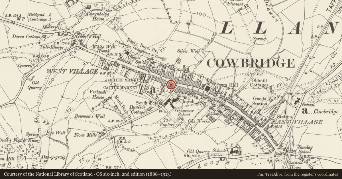 Ordnance Survey six-inch map, 2nd edition (1888–1913) covering the location of Farthings Old Wine House, Cowbridge with Llanblethian, Vale of Glamorgan, with a pin at the register's coordinates