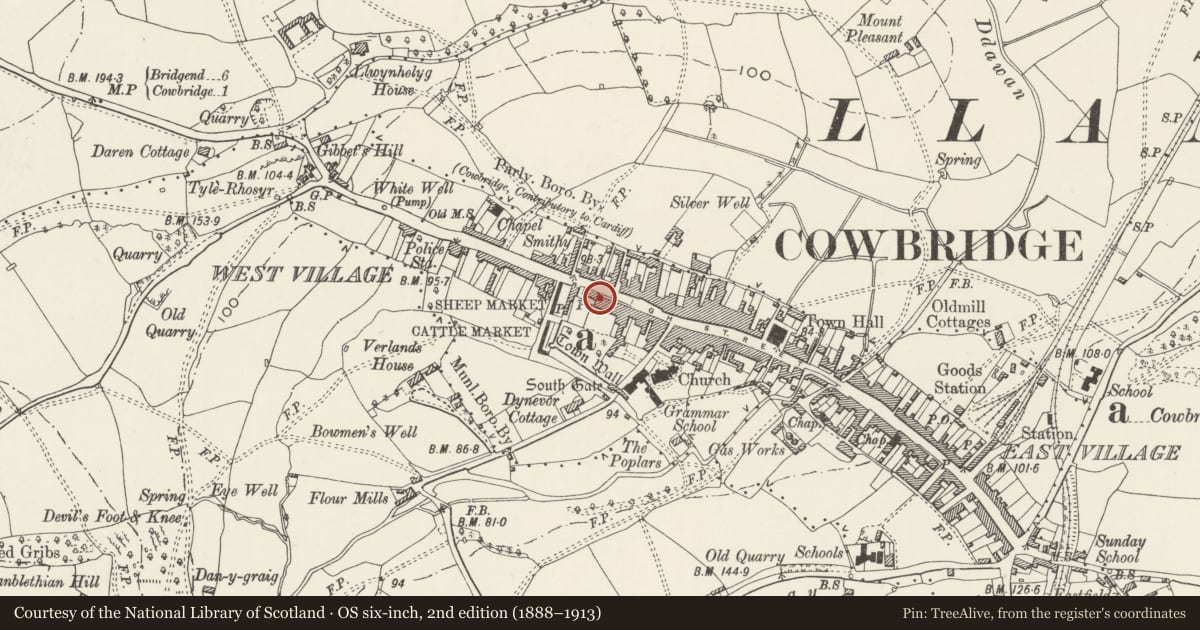 Ordnance Survey six-inch map, 2nd edition (1888–1913) covering the location of The Old Hall, Cowbridge with Llanblethian, Vale of Glamorgan, with a pin at the register's coordinates