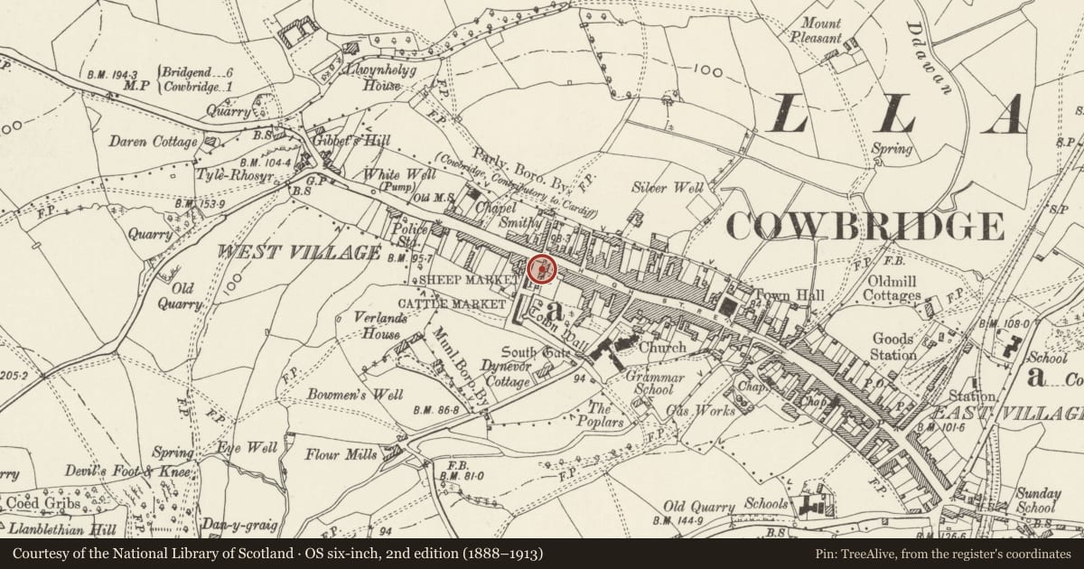 Ordnance Survey six-inch map, 2nd edition (1888–1913) covering the location of Ye Olde Mason's Arms PH, Cowbridge with Llanblethian, Vale of Glamorgan, with a pin at the register's coordinates