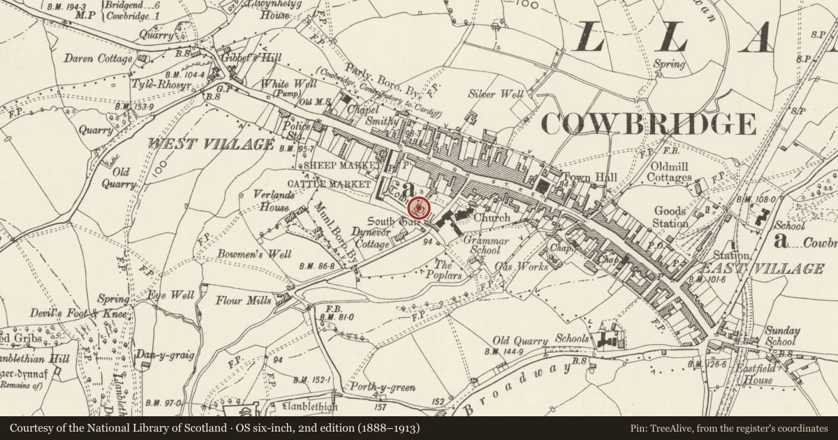 Ordnance Survey six-inch map, 2nd edition (1888–1913) covering the location of NW Garden Wall to Rose Cottage and SW Garden Walls to Old Hall & Grammar School Garden at SE, Cowbridge with Llanblethian, Vale of Glamorgan, with a pin at the register's coordinates