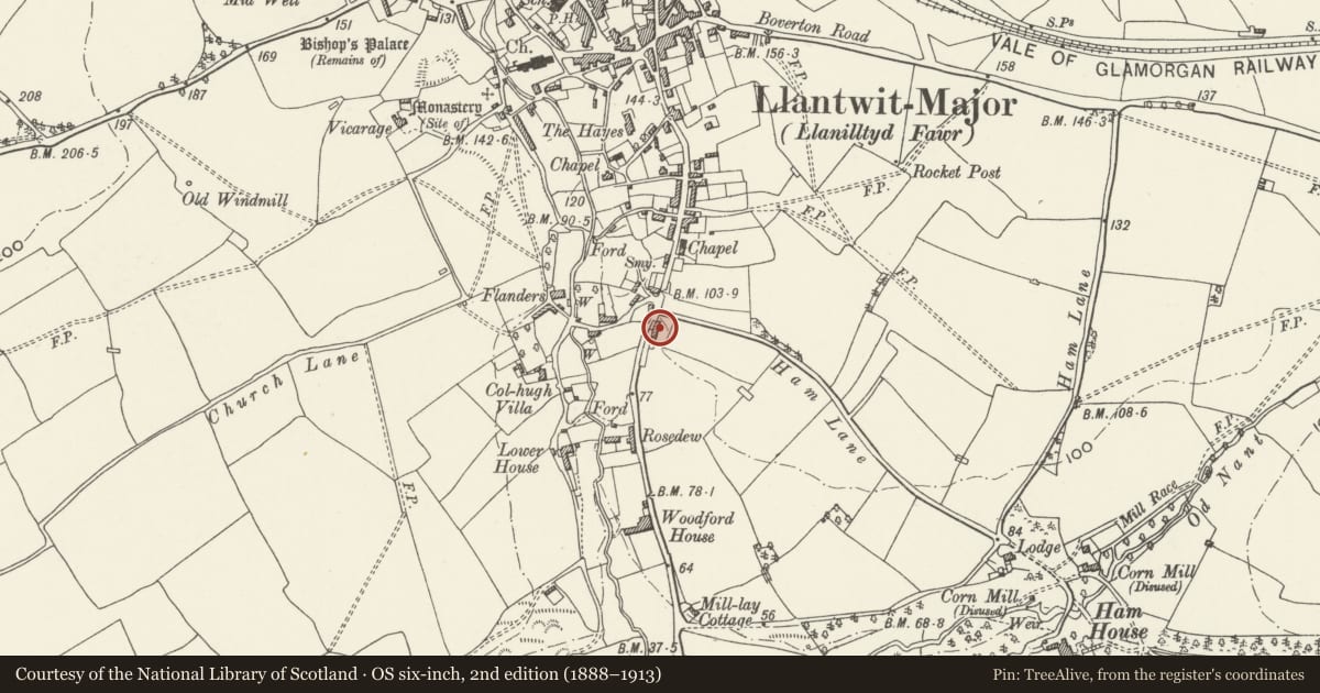 Ordnance Survey six-inch map, 2nd edition (1888–1913) covering the location of To-hesg including attached garden walls, Llantwit Major, Vale of Glamorgan, with a pin at the register's coordinates
