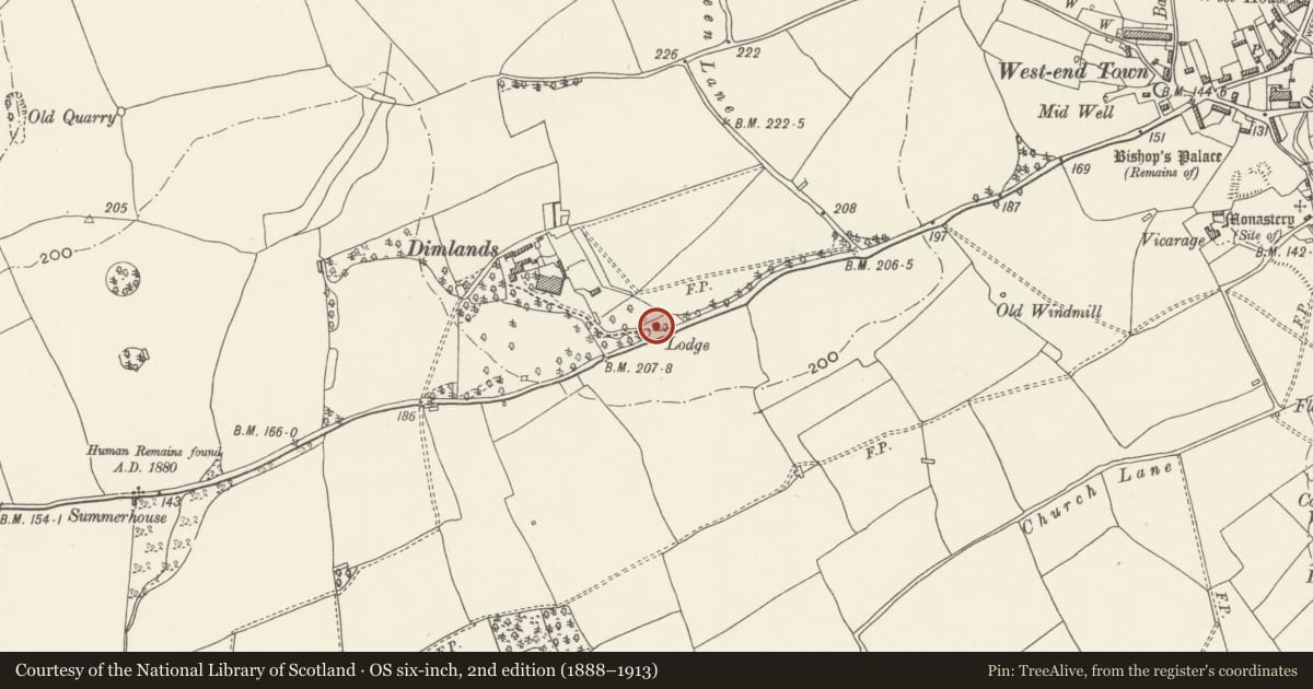 Ordnance Survey six-inch map, 2nd edition (1888–1913) covering the location of Lodge to Dimlands, Llantwit Major, Vale of Glamorgan, with a pin at the register's coordinates
