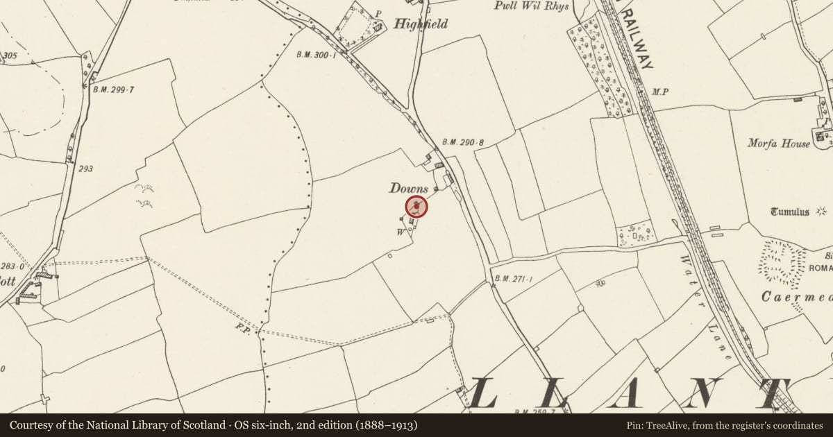 Ordnance Survey six-inch map, 2nd edition (1888–1913) covering the location of Circular Pigsty to north of Downs Farm, Llantwit Major, Vale of Glamorgan, with a pin at the register's coordinates