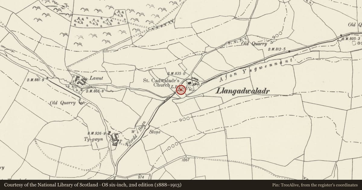 Ordnance Survey six-inch map, 2nd edition (1888–1913) covering the location of Telephone Call-box adjoining churchyard wall at St Cadwaladr's church, Llangadwaldr, Llansilin, Powys, with a pin at the register's coordinates