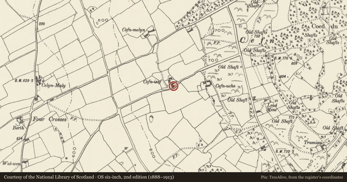 Ordnance Survey six-inch map, 2nd edition (1888–1913) covering the location of Barn at Cefn Isa, Cilcain, Flintshire, with a pin at the register's coordinates