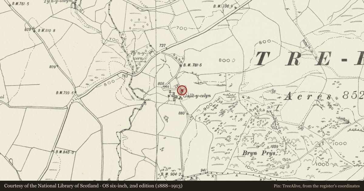 Ordnance Survey six-inch map, 2nd edition (1888–1913) covering the location of Gallt-y-celyn, Pentrefoelas, Conwy, with a pin at the register's coordinates